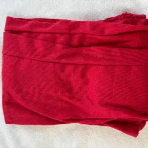 Fish Cut Petticoat - Red